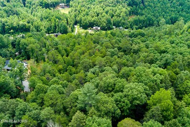 424 Tunis Rd, Pittman Center, TN 37876 - photo 4