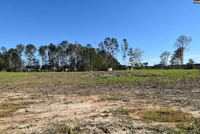 Lot 4 Gold Nugget Point, Prosperity, SC 29127 - photo 3