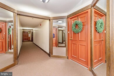 3 Southerly Ct unit 204, Towson, MD 21286 - photo 6