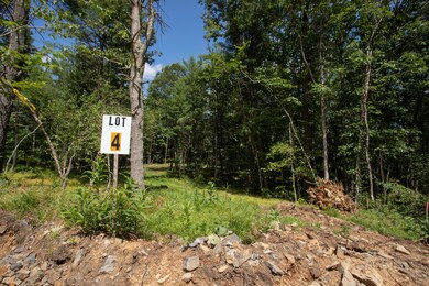 12 (lot 2) Cole Lane