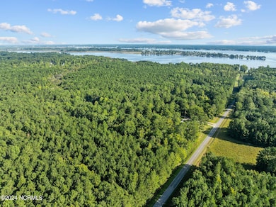 11-web-or-mls-DJI_0184