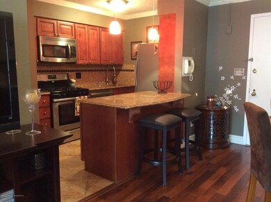 Chestnut Hill at Essex Park unit 3B, Staten Island, NY 10314 - photo 2