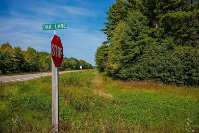 Lot 0 Lonesome Rd, Dexter, WI 54495 - photo 4