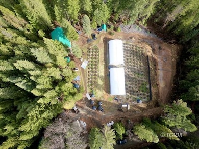 991 Live Oak Rd, Hayfork, CA 96041 - photo 5