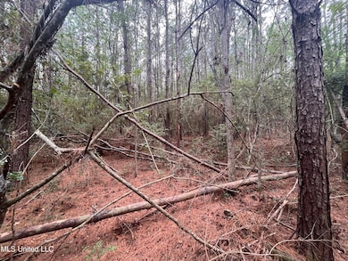 0 Gladhurst Rd, Magnolia, MS 39652 - photo 6