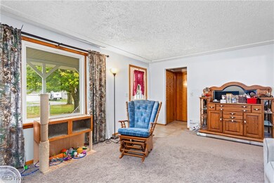 Living room featuring light colored newer carpet and a textured ceiling, newer vinyl replacement window, new storm door on front door