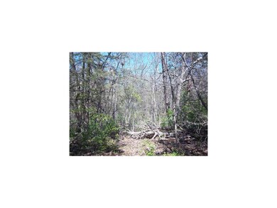 Land/Lot.