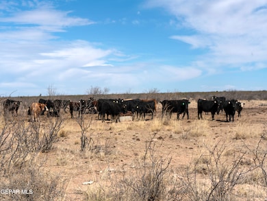 PN 70596 Victoria Rd, Sierra Blanca, TX 79851 - photo 5