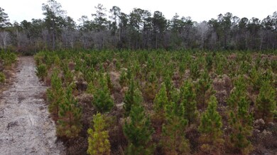 Lot 2 Amos Rd, Georgetown, SC 29440 - photo 4