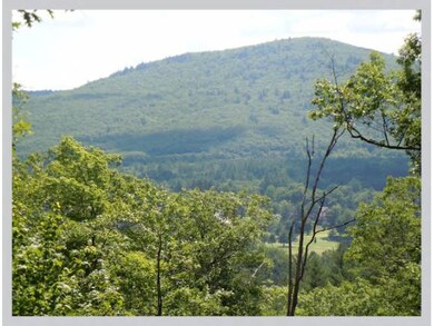 #20 Ski Lift Ln, Plymouth, NH 03264 - photo 6