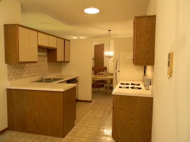 1520 Commodore Ln unit 7, Schaumburg, IL 60193 - photo 4