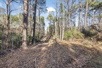 0 La Hwy 967 unit 22338509, Saint Francisville, LA 70775 - photo 7