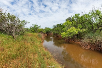 Fm1263, Aspermont, TX 79502 - photo 3