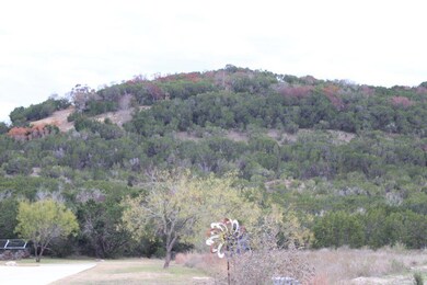 View of mountain background with a forest