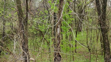 00 N Royal St, Jackson, TN 38301 - photo 6