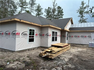 323 & 337 Mt Pleasant Rd, Hortense, GA 31543 - photo 4