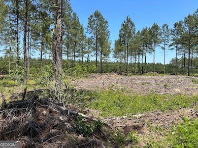 0 Dewey Thomas Rd unit LOT 15 10589727, Dexter, GA 31019 - photo 2