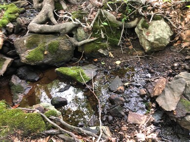 68 Campbell Pond Rd, West Bath, ME 04530 - photo 6