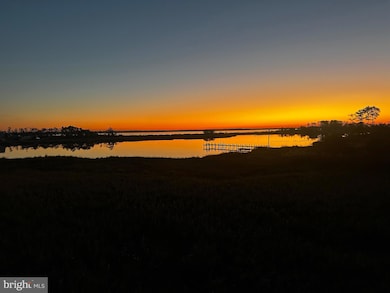 16242 Thomas Rd, Piney Point, MD 20674 - photo 5