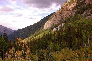 TBD Needle Creek Trail, Durango, CO 81301 - photo 4