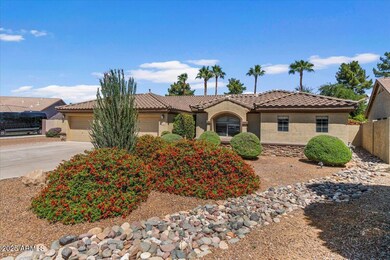 Low Maintenance Front Yard