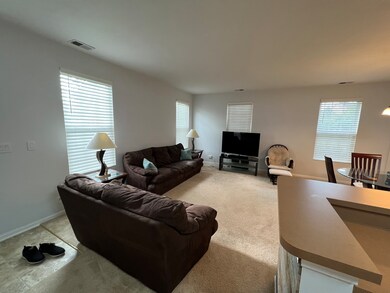 224 Springbrook Trail S unit 3, Oswego, IL 60543 - photo 3