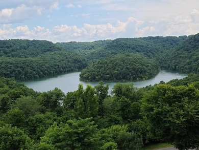 20 Bella Grace Dr, Smithville, TN 37166 - photo 3