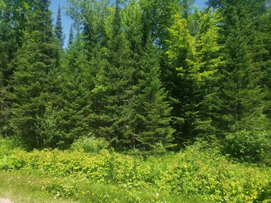 Lot 3 Sanctuary Rd, Tomahawk, WI 54487 - photo 2