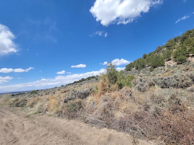 0 Michaels Rd unit 25558753, Fort Garland, CO 81133 - photo 5