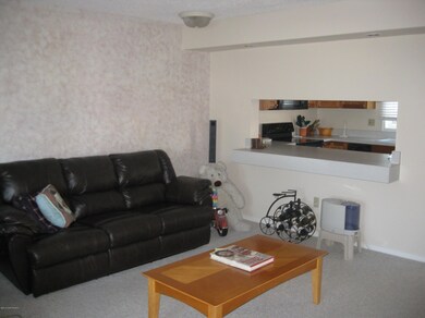 Living room with pass through bar