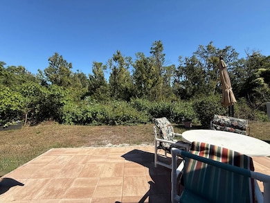 3531 Meteor Place, Valrico, FL 33594 - photo 4