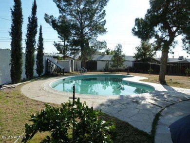 Very Nice Yard