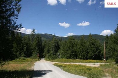 5 Larsen Ranch Ln, Sandpoint, ID 83864 - photo 4