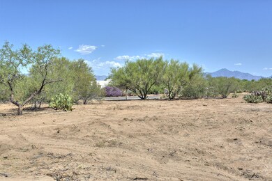 Large lots so plenty of privacy