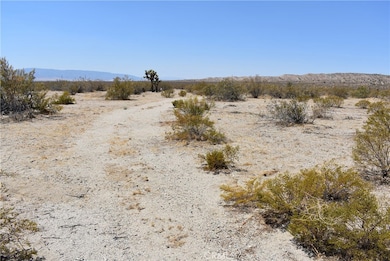 1 170th St W and S O Irone Ave, Rosamond, CA 93560 - photo 2