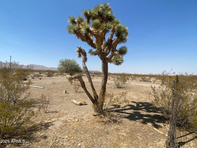 XXXXX N Joseph (Lot 286) Rd unit 286, Dolan Springs, AZ 86441 - photo 7