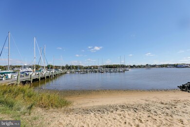 110 Magnolia Ln, Annapolis, MD 21403 - photo 7