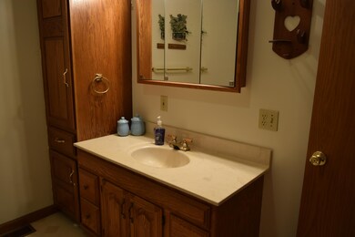 413 S Main St, Mendon, OH 45862 - photo 6