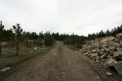 17220 N Nevada Ln, Colbert, WA 99005 - photo 5