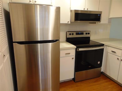 Green Dolphin Park unit 307, Tarpon Springs, FL 34689 - photo 4