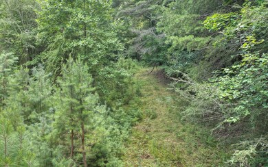 15.5A Doublehead Gap Rd, Blue Ridge, GA 30513 - photo 4