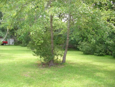 large trees