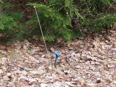 6 Sholan Rd, Thornton, NH 03285 - photo 2