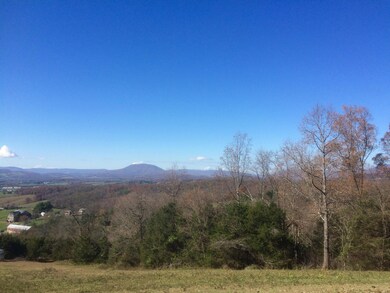 000 Mountain View Rd unit 705, Lexington, VA 24450 - photo 6