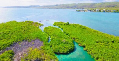 Guillian Island