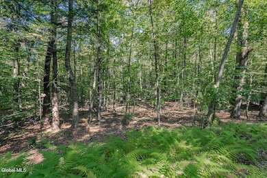 L43.1 Hinds Rd, Providence, NY 12074 - photo 7