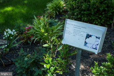 12906 Buccaneer Rd, Silver Spring, MD 20904 - photo 3