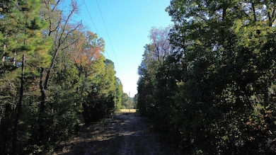 000 County Road 4330, Larue, TX 75770 - photo 7