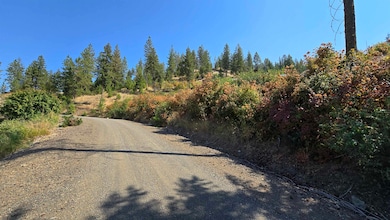 6237 Deer Tracks Way, Fruitland, WA 99129 - photo 7