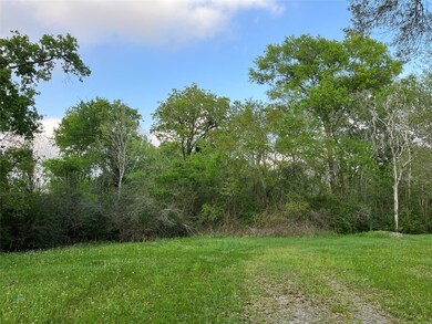 It's very peaceful here, with hardly any neighbors.